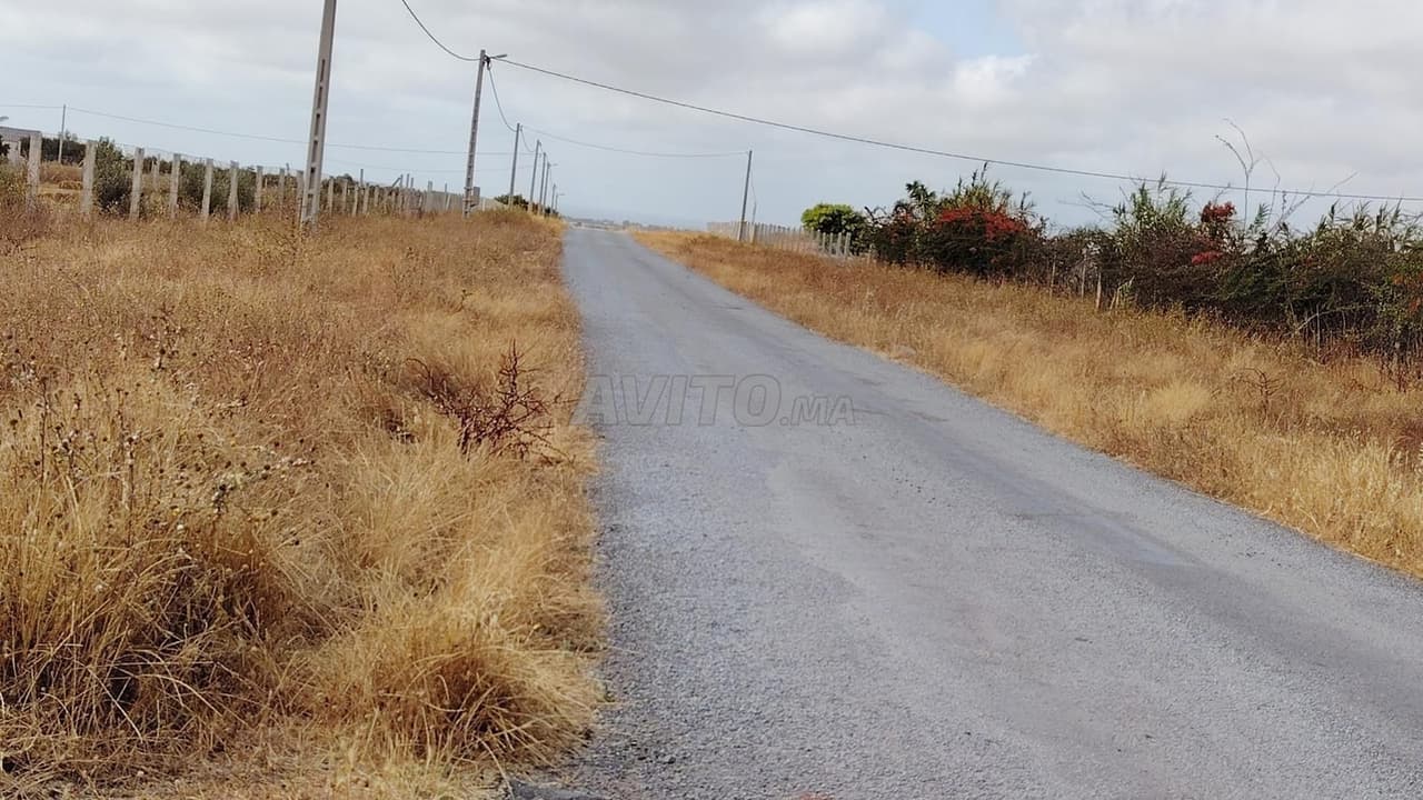 2.15 hectares titled on the road in BSABAS