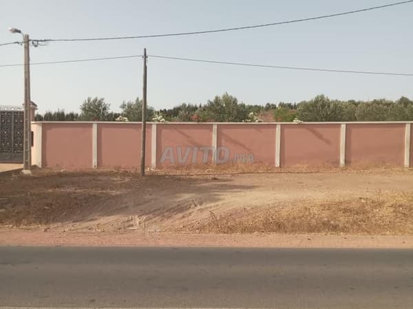 Ferme titrée située à 3 km de Settat à Ouled Belahsen