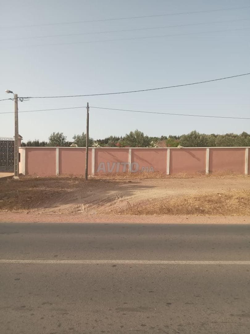 Ferme titrée située à 3 km de Settat à Ouled Belahsen
