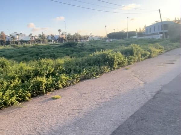 Terrain pour villa à ain diab