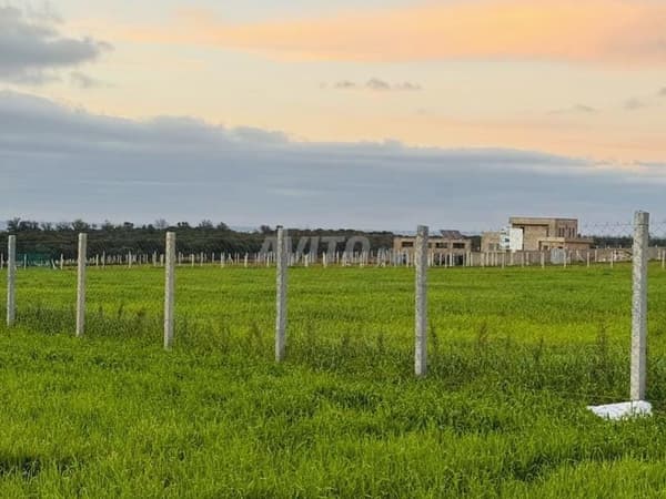 Grundstück von 10.000 m² mit Titel in Sidi Rahal