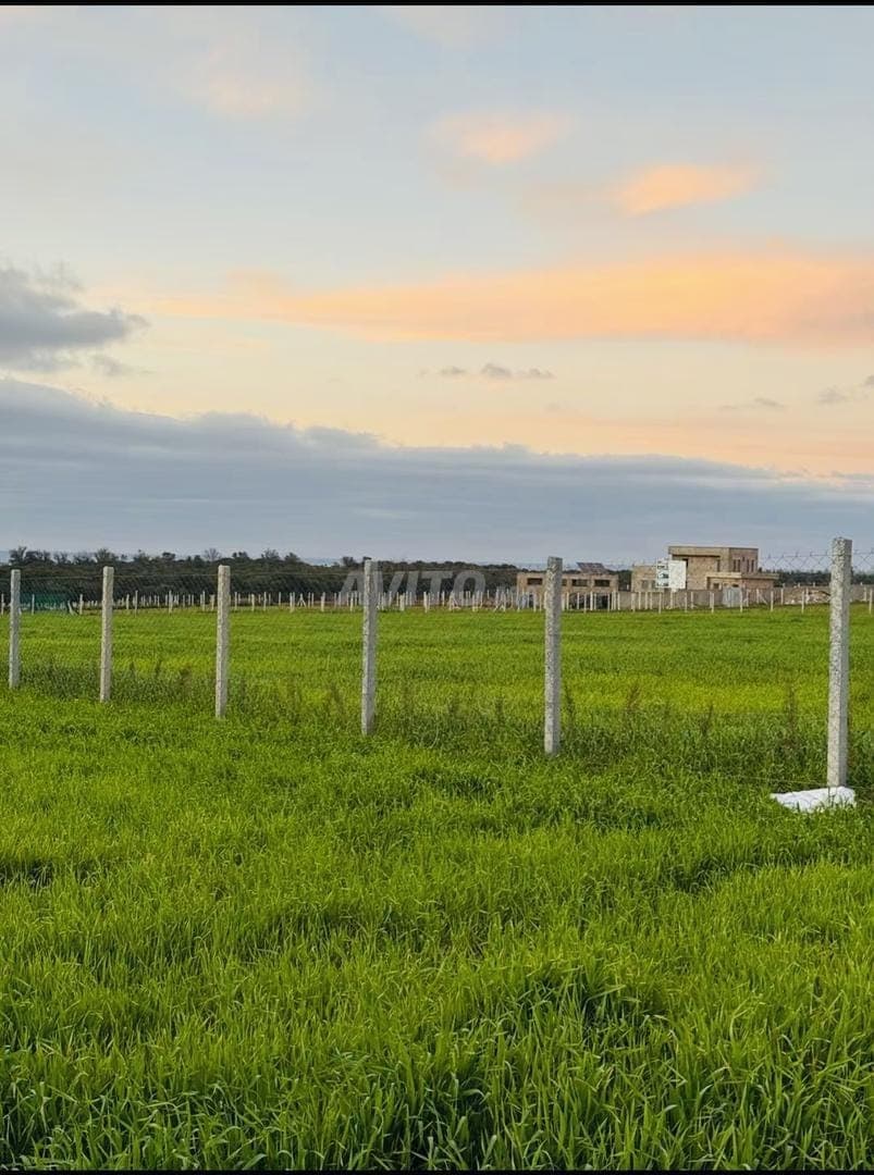 Grundstück von 10.000 m² mit Titel in Sidi Rahal