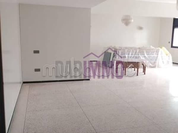 Un appartement lumineux