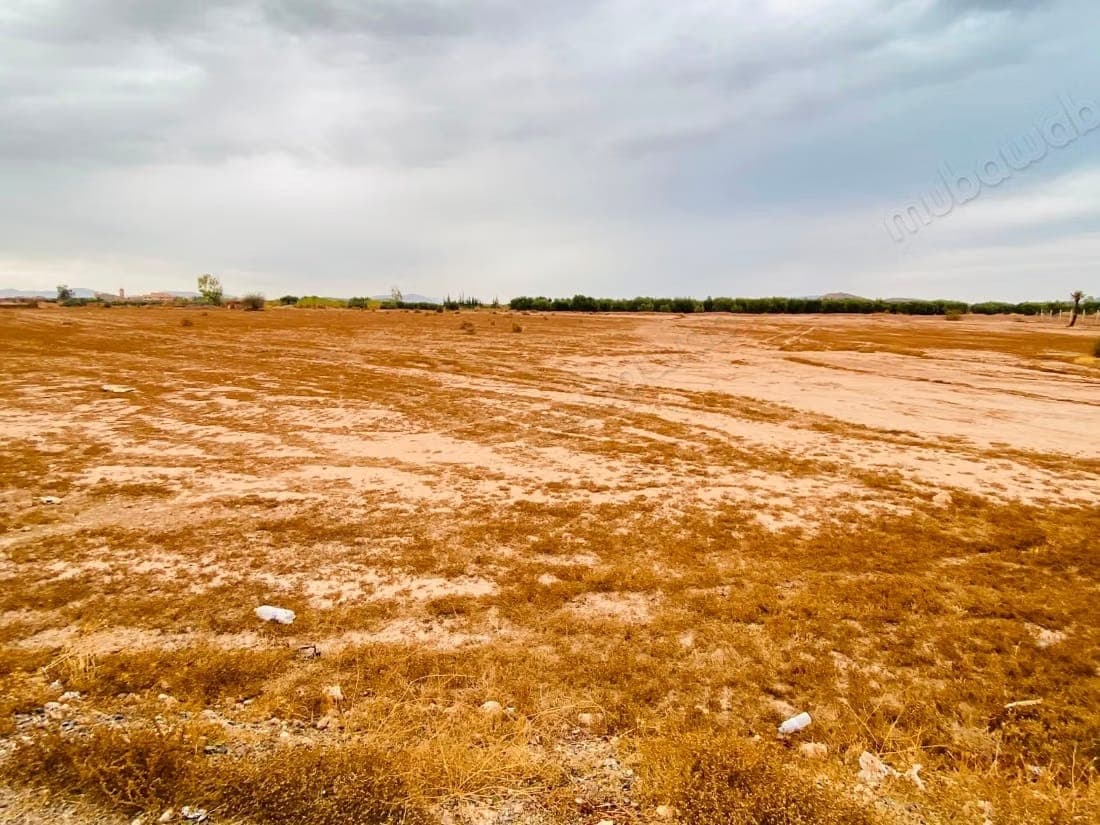 Land for sale, with an area of 10,000 square meters, suitable for building a villa