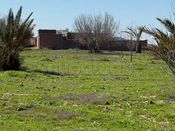 Terrain route de fez Marrakech