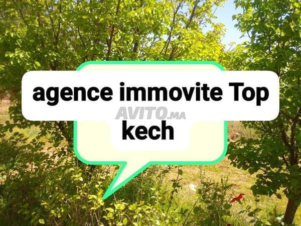 Zwei Grundstücke mit Eigentumstitel ab 1000 m² und mehr