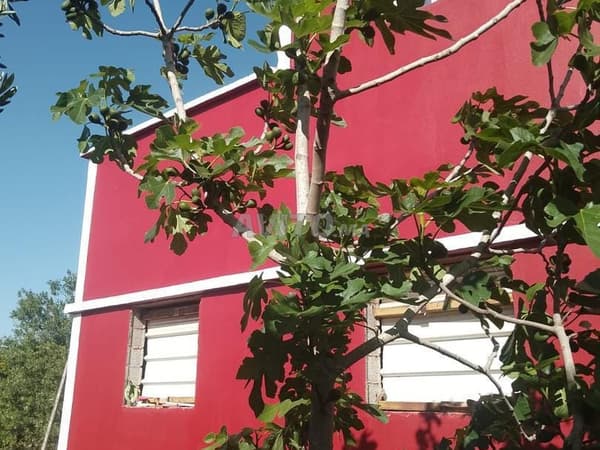 Granja moderna en Ouled Abbou