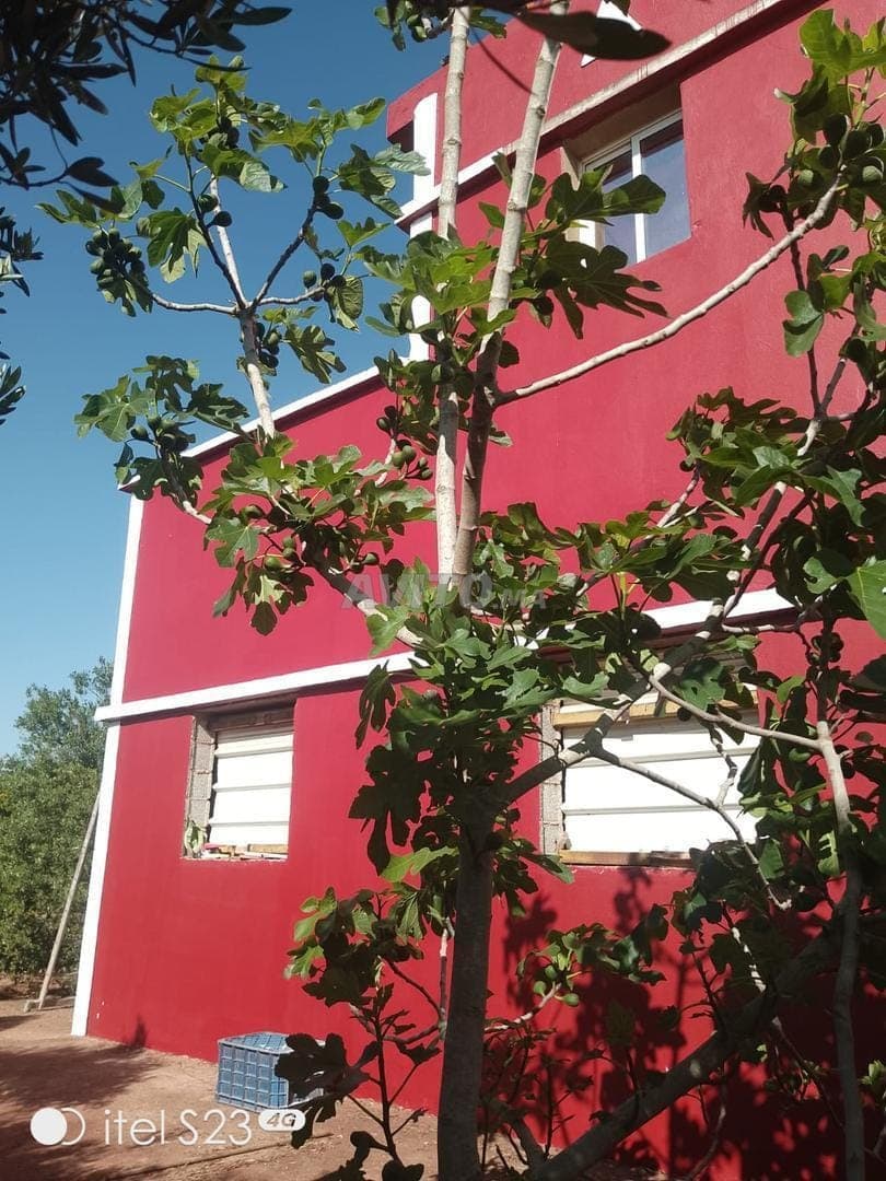 Granja moderna en Ouled Abbou