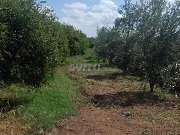 Ferme prête à l'exploitation à vendre