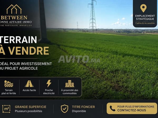 TERRAIN A VENDRE SALE ALJADIDA shoul douar mefalha
