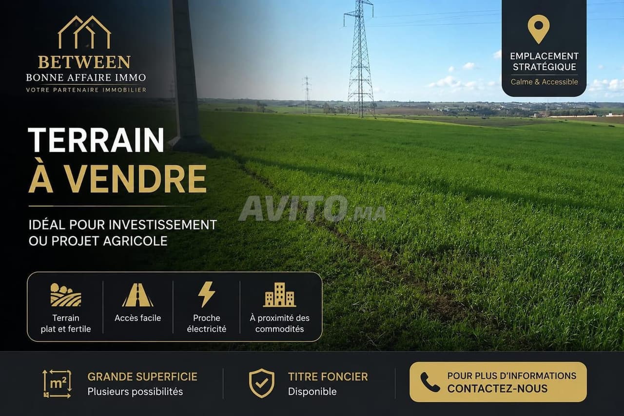 LAND FOR SALE SALE ALJADIDA shoul douar mefalha
