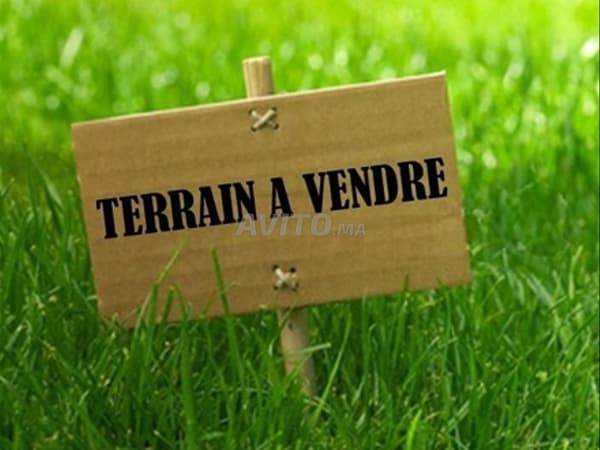 Terrain de 1 Hectare à Vendre à Dar Bouazza