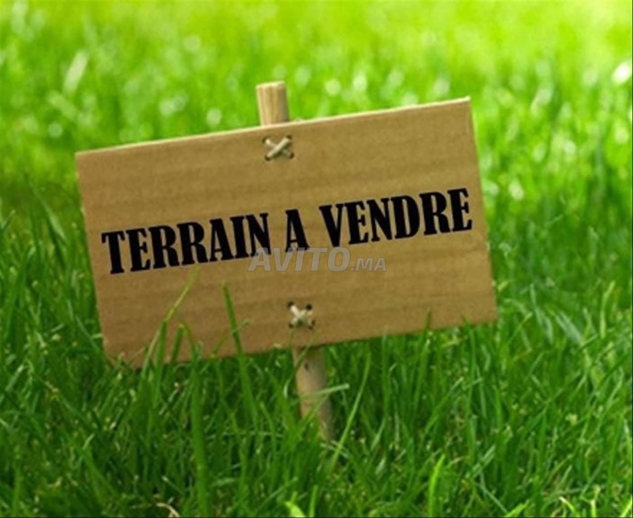 Terrain de 1 Hectare à Vendre à Dar Bouazza
