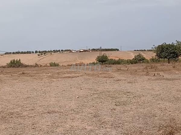Terrain agricole à vendre