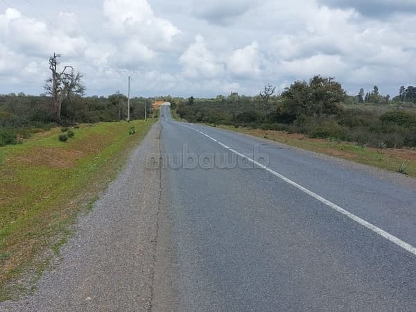 Vends 1 hectares 270 ha à ben sliman sur goudron