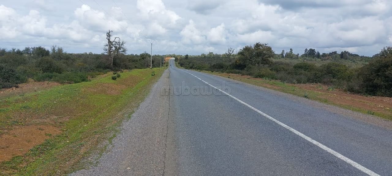 Te koop 1 hectare 270 ha in Ben Sliman op asfalt