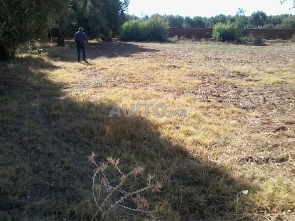 Terrain 1200m2 à 40min de Marrakech
