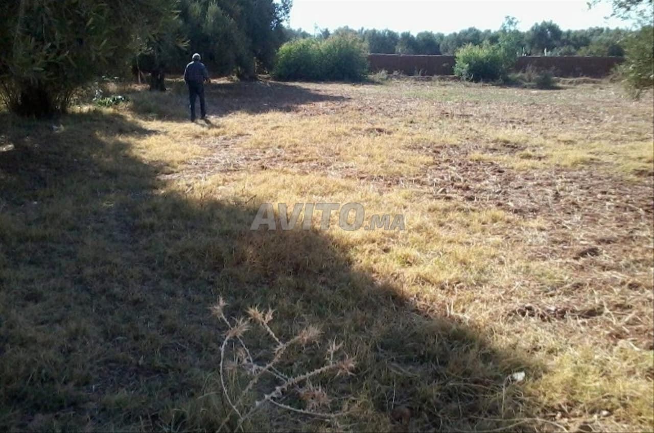 Terrain 1200m2 à 40min de Marrakech