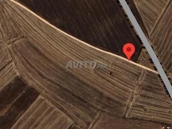 Land for Sale Next to the Road
