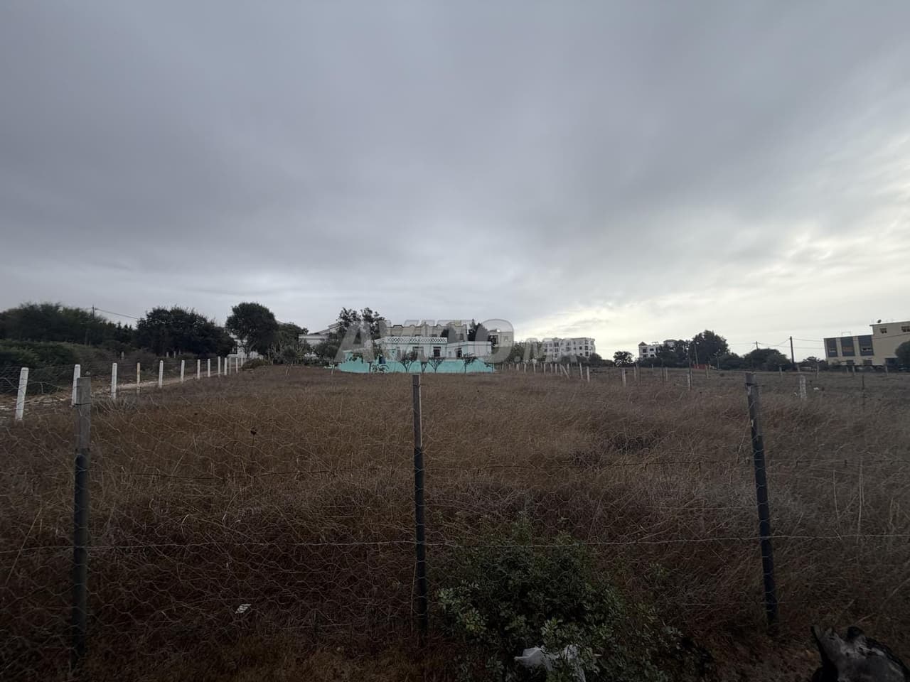 أرض لبناء فيلات بطنجة