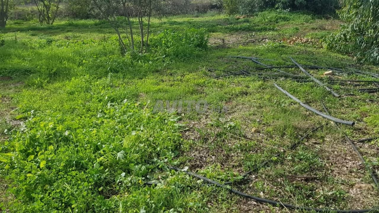 Very well-located plot