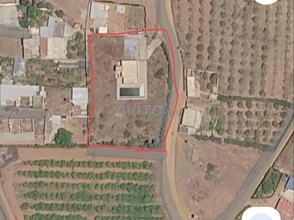 Terrein van 3000 m² met huis van 100 m² en zwembad