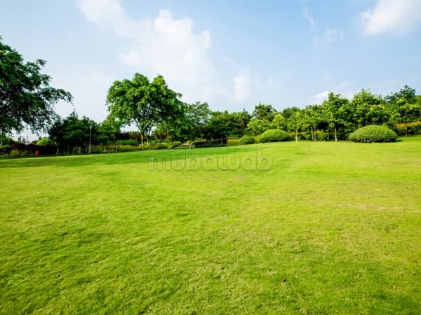 A vendre grand terrain de 4300m2 sur Bir Kacem