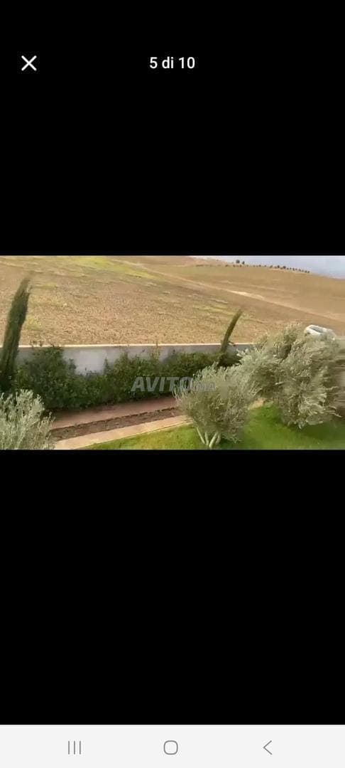 Granja moderna
