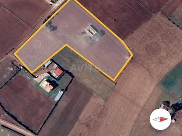 1 hectare en 2500 meter grondtitel in Bir Jdid