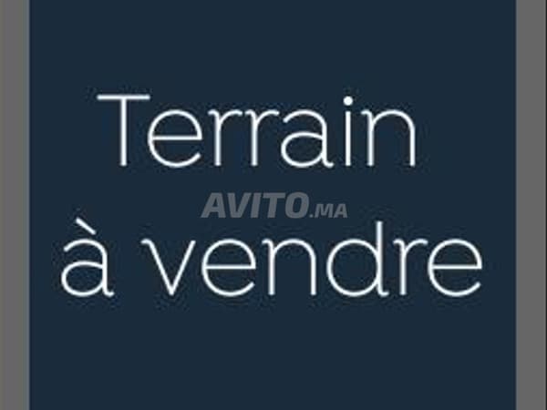 Terrain 7000 dhs en plein centre Assila
