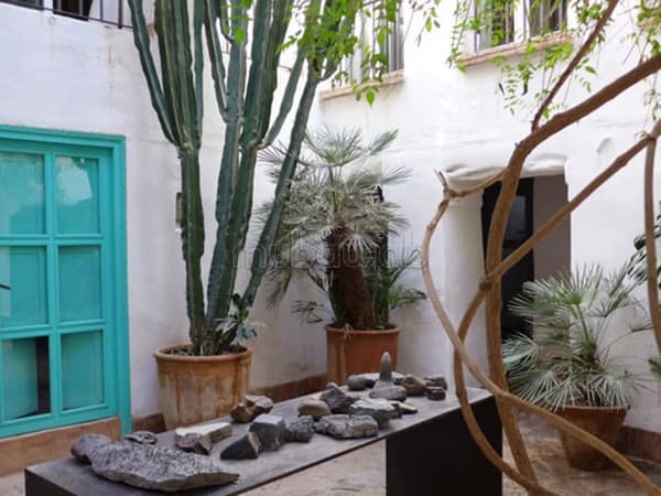 Riad Lyakout