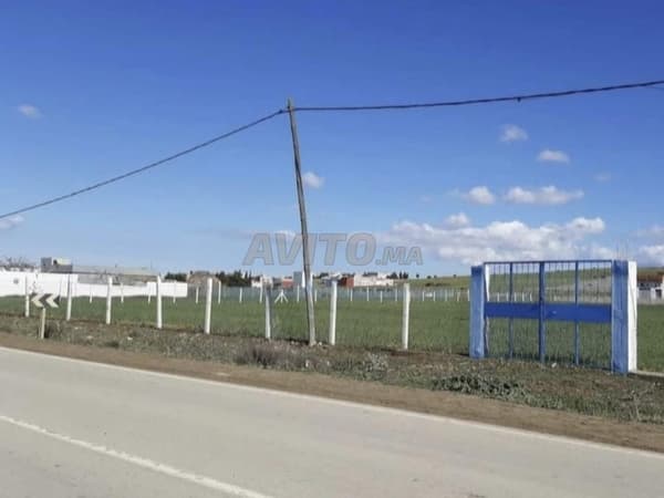 Superb 4500 m² plot for sale in Khémis Anjera