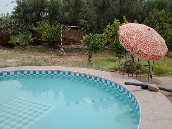 Ferme titrée de 3461 m² route de Fès