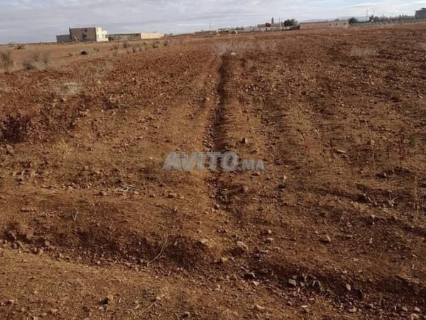 أرض فلاحية، مزرعة، مساكن