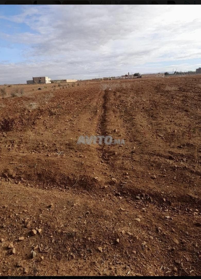 Terrain agricole-Ferme-Habitations