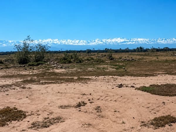 Terrain SA2 à vendre route de Fès VE25242
