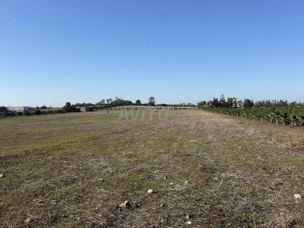 Hectare eigendomsrecht land, ideale locatie voor wonen