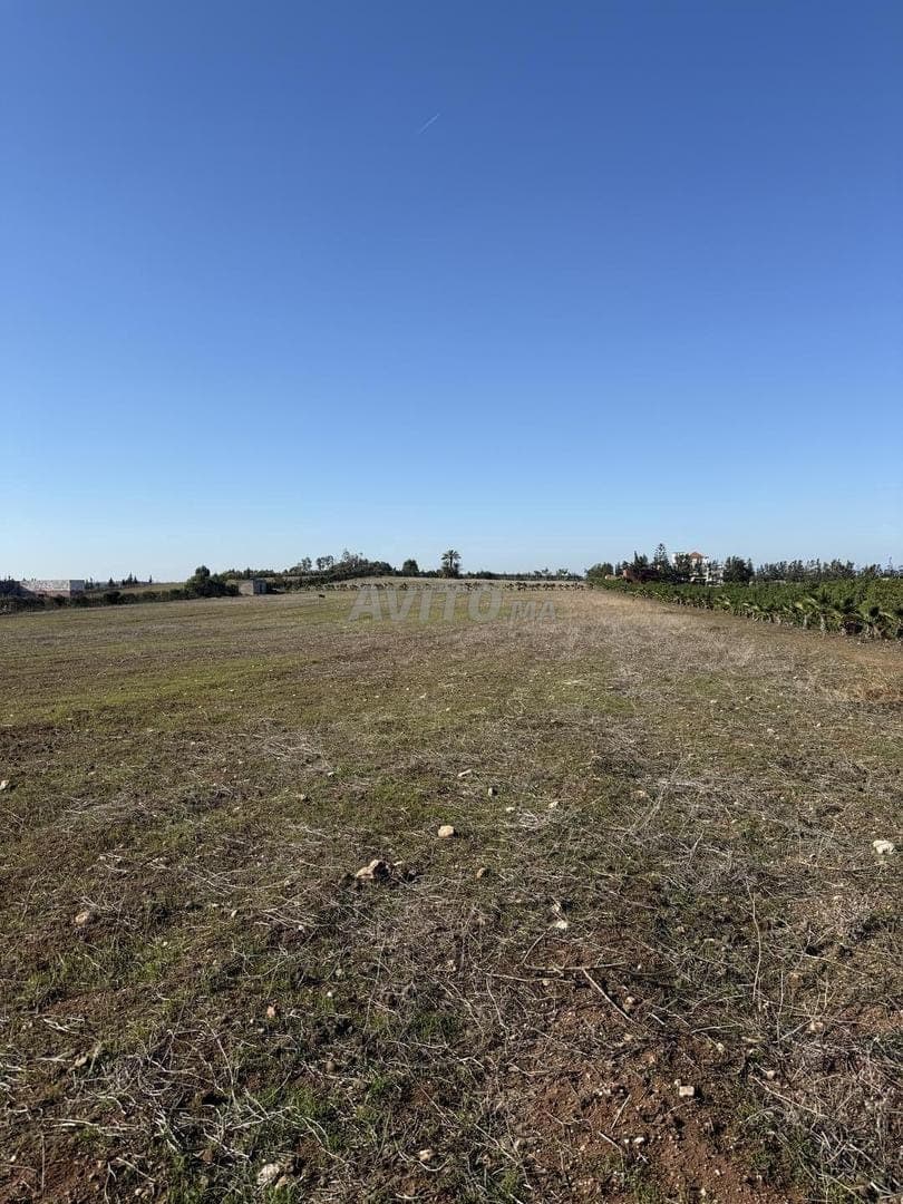 Hectare titré foncier, emplacement idéal pour habitation