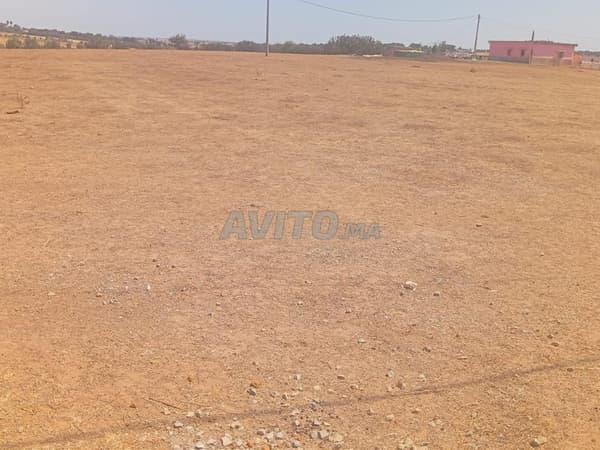 Terrain titre 15000m2 Sehoul Salé