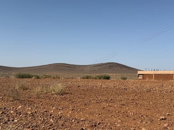 Terrain de 10 000 m2, titré à 25 km de Marrakech