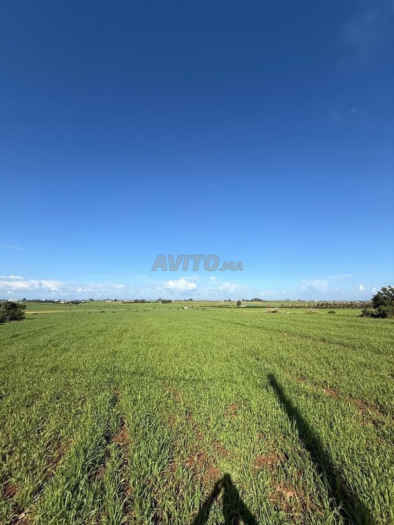 Hectare titré vue sur mer à vendre