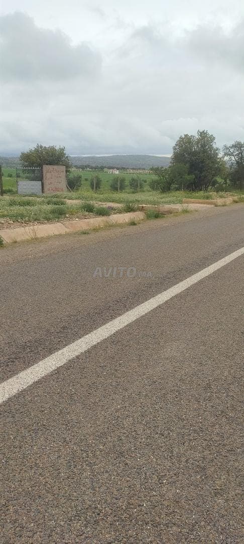 2-hectare farm in Titri