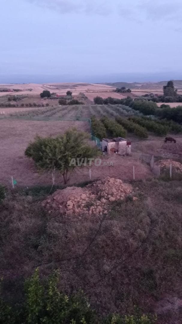 Terrain agricole à vendre