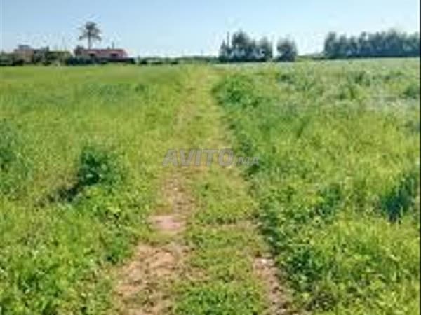 Terrain agricole