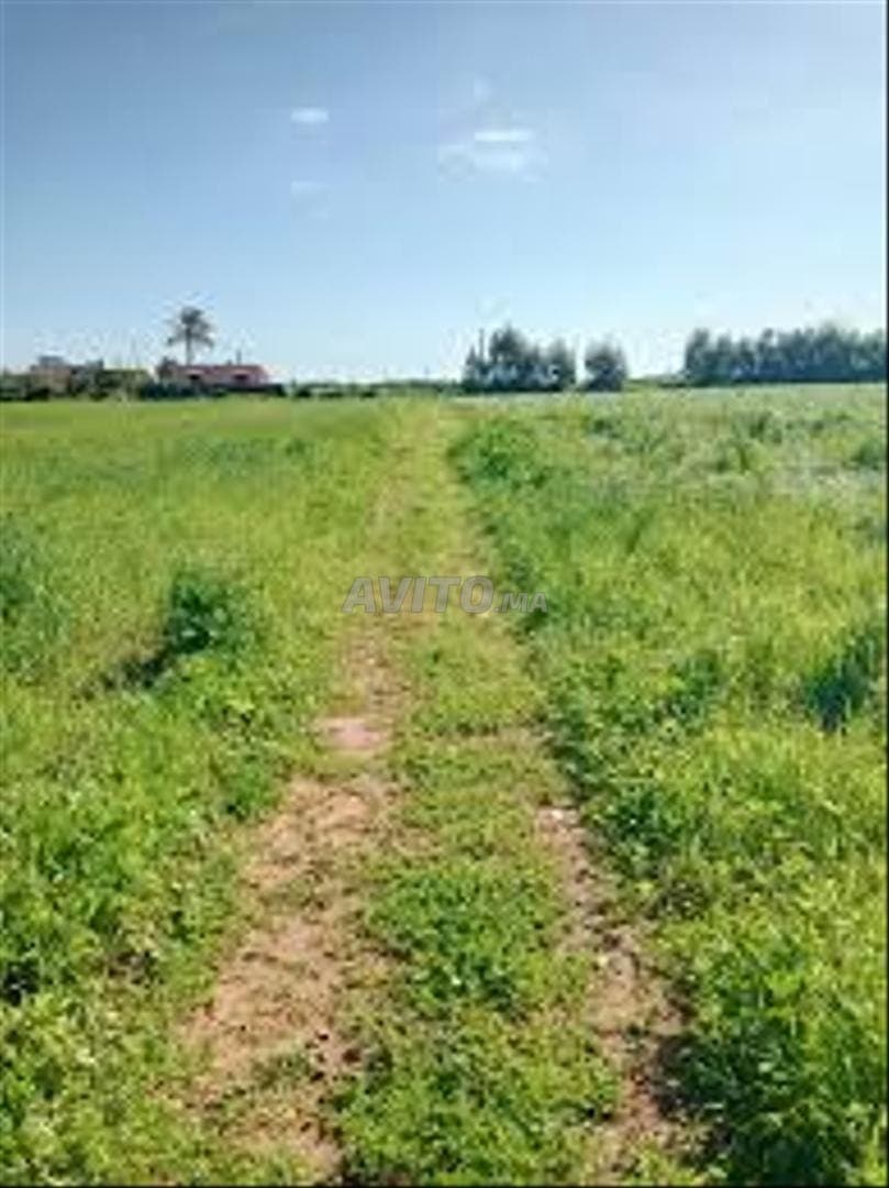 Terrain agricole