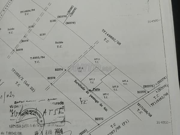 Hectare planté à vendre Sidi Rahal Plage