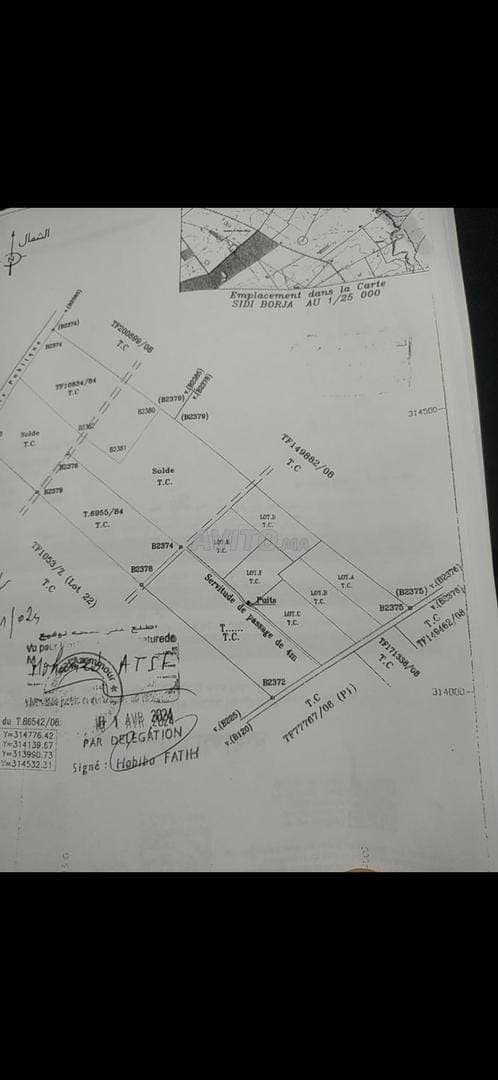 Hectare planté à vendre Sidi Rahal Plage