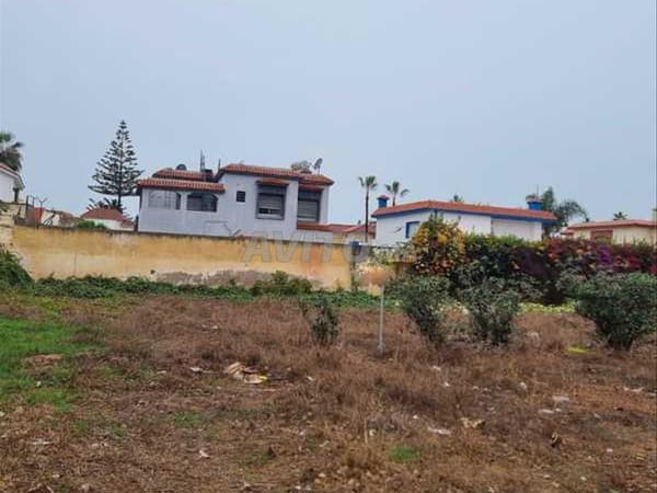 157804-Land for Sale in Mohammédia Monica, 512 m²