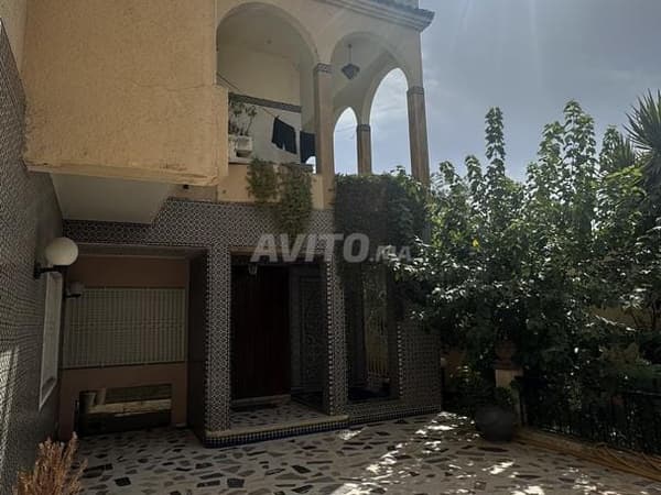 Large family house