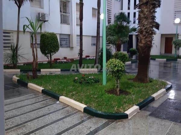 Appartements 58m² à louer (mensuel) à Casablanca
